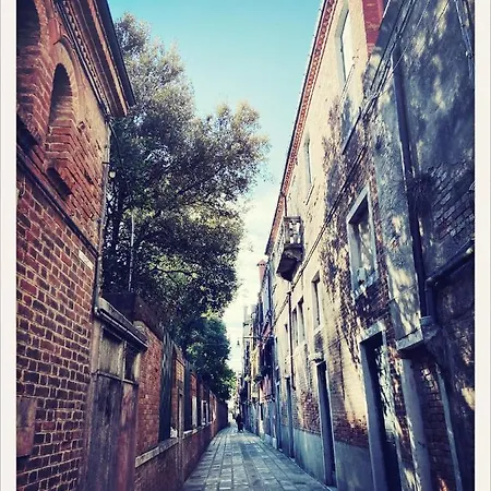 Daire Hideaway Biennale *